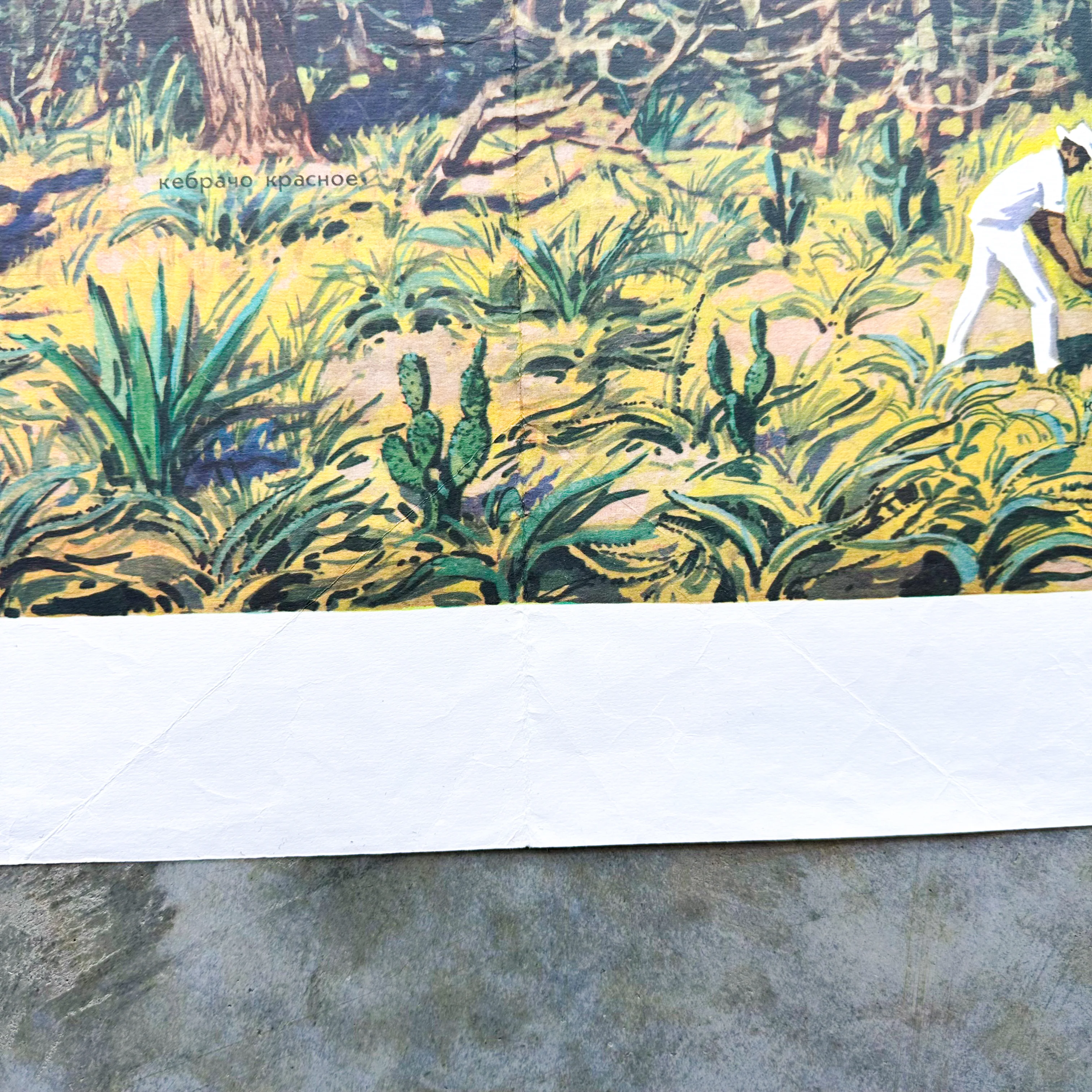 Thumbnail 8